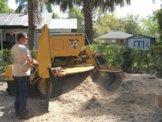 stump grinding /stump removal. big stump vs big stump grinder