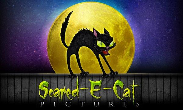 Scared-E-Cat Pictures |  Is an Independent Film production company based in Las Vegas, they sure loved their new logo.