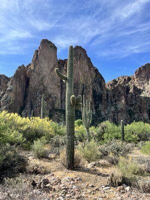 View from the trail