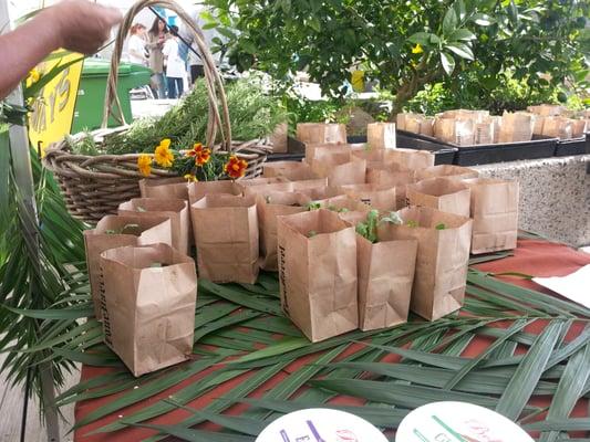 Free vegetables just bring your bag located at Tenderloin.