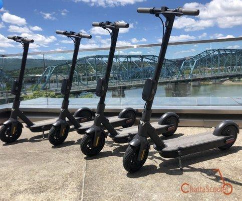 All new electric scooter rentals in Chattanooga known as Chattascooters!