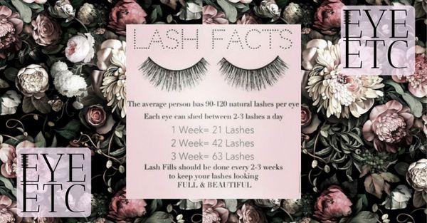 Helpful tips from EYE ETC. Helps to know your lashes!