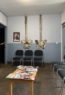 51st Street Chiro-Ronald - Ron J Rudometkin DC