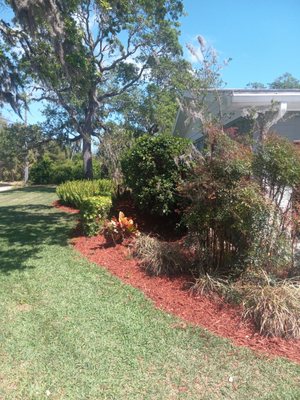 This yummy red mulch makes the shrubs look better the house looks amazing