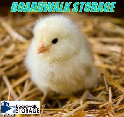 www.boardwalkstorage.com/macon-rd