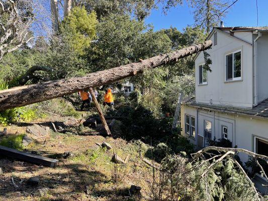 Juan's Landscaping & Tree Service