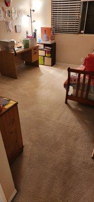 Best carpet cleaner