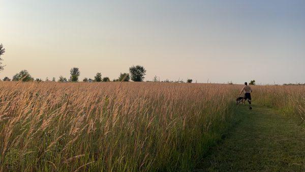 Walking trail by campsite