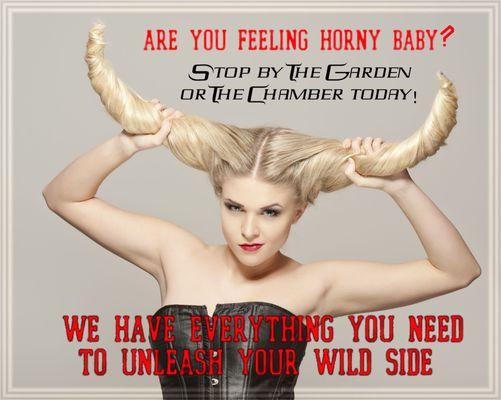 Unleash your wild side today!