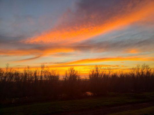 Yolo Bypass Wildlife Area