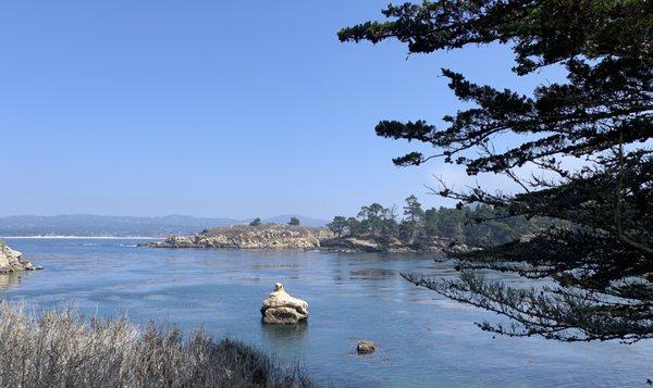 Point Lobos