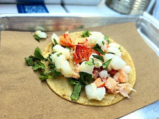 Lobster taco