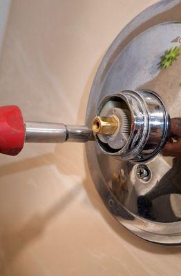 Shower Valve Repair