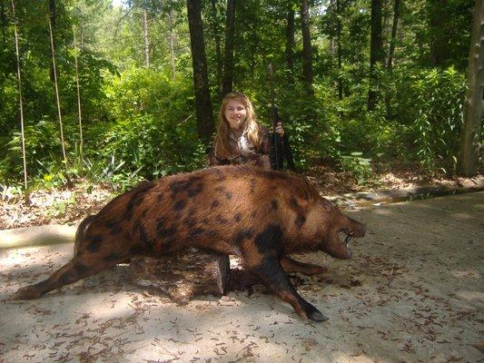 Hog Wild USA