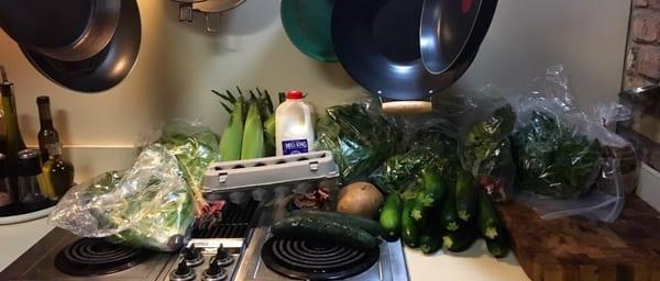 Look at all of my beautiful food items! That's a bunch of food. I better get cookin'!!! (All in the "regular size" box....