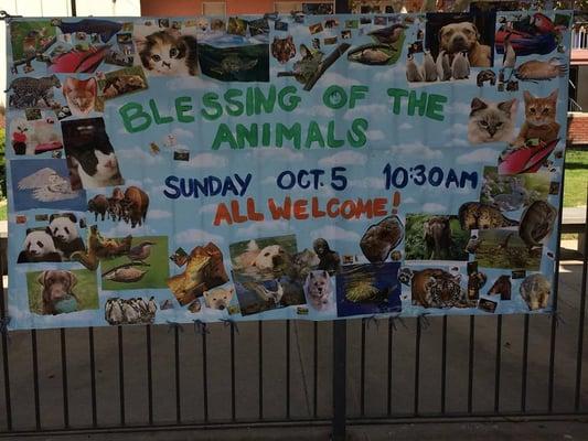 Bring your pets in for a blessing each year on St. Francis Sunday