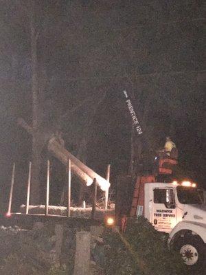 Removing logs after dark on same day!