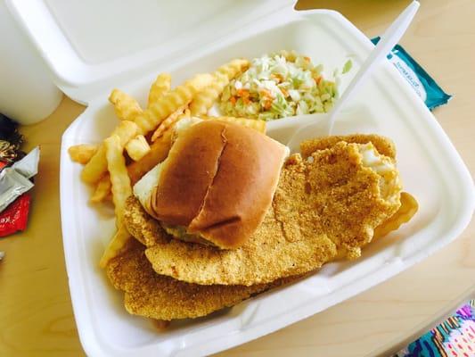 2 Fish dinner plate with two sides