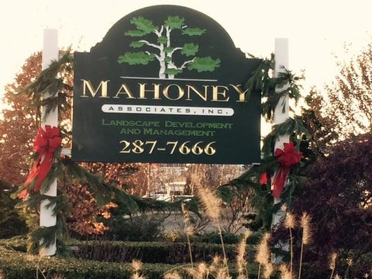 Let Mahoney Associates Decorate Your Home For The Holidays