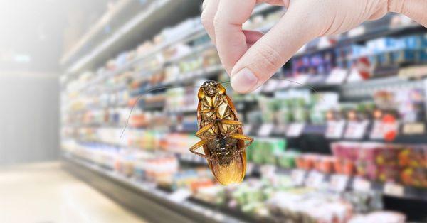 Don't let your customers find pests in your store... call us today!