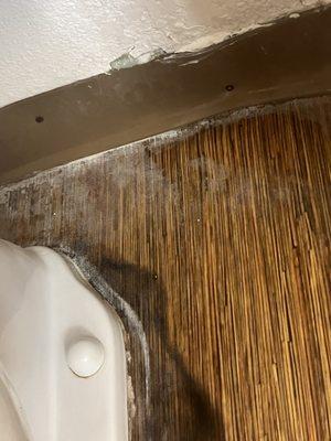 Mold mildew in the bathroom on both sides of the toilet