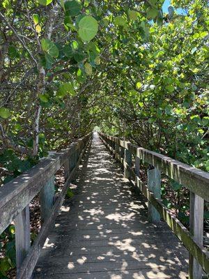 Boardwalk