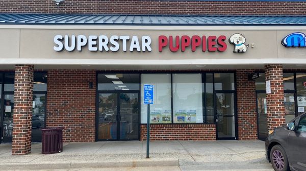 Superstar Puppies