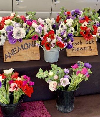 Beautiful flowers.