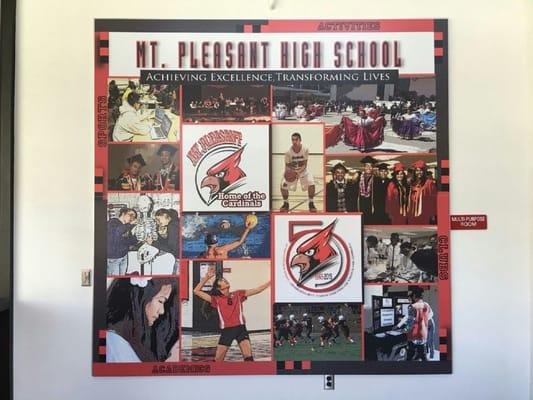 Here is a project we did for Mt. Pleasant High School. It looks great!