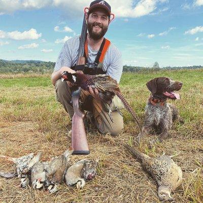 Pheasant, chukar quail