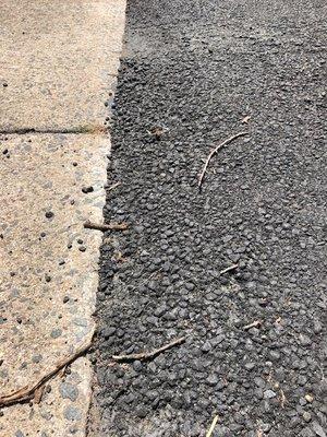 Apron of Driveway. Notice how the asphalt is eroding.