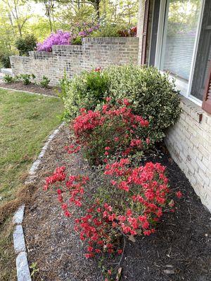 spring mulch at front of house