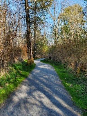 Along the trail