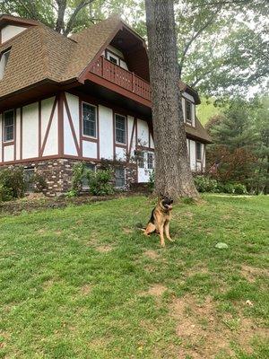 House is on a left corner lot as you drive up.