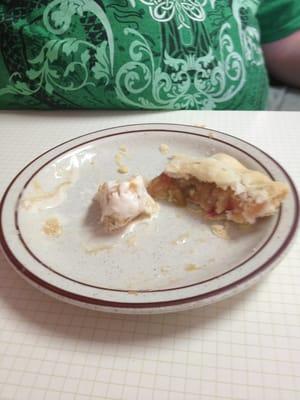 Rhubarb pie and apple cinnamon ice cream (well what's left after we ate most of it!)