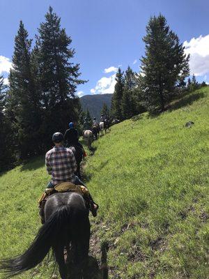 Trail ride