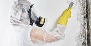 Mold removal