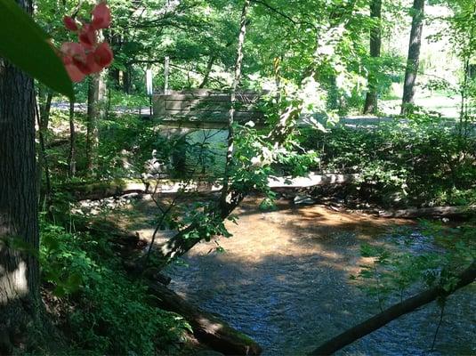 The Crystal River, just 50' from our room/patio and the nearby gazebo.