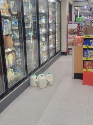 Why is the milk on the floor not refrigerated? No employees in the aisle, only me.