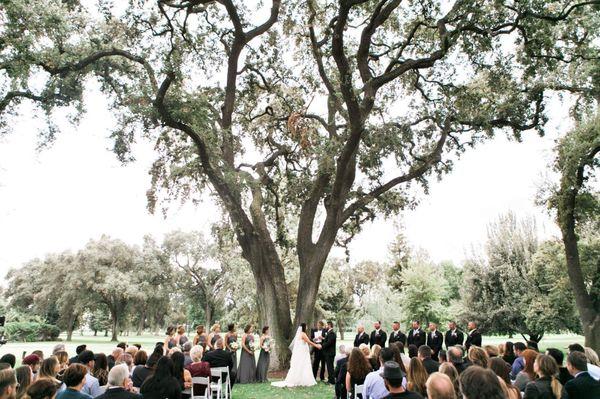 My dream wedding at Spring Creek!