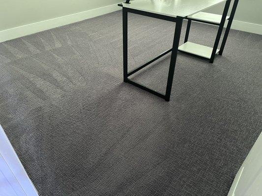 Apartment carpet cleaning