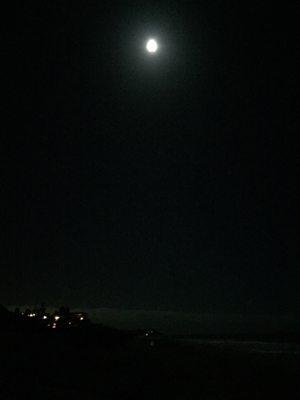 Beach Moonlight!