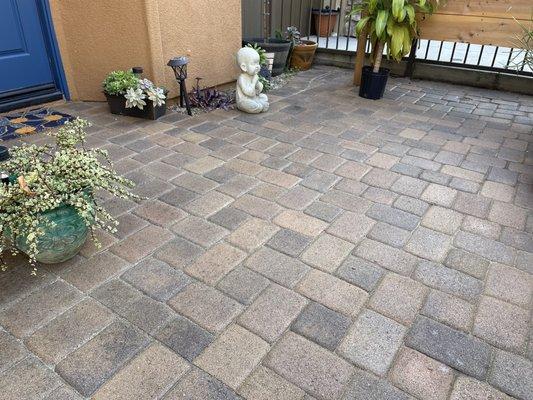 Pavers after treatment