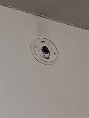 No smoke detector!