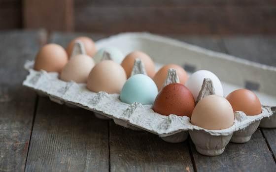 Pasture-raised eggs from Anna's Farm