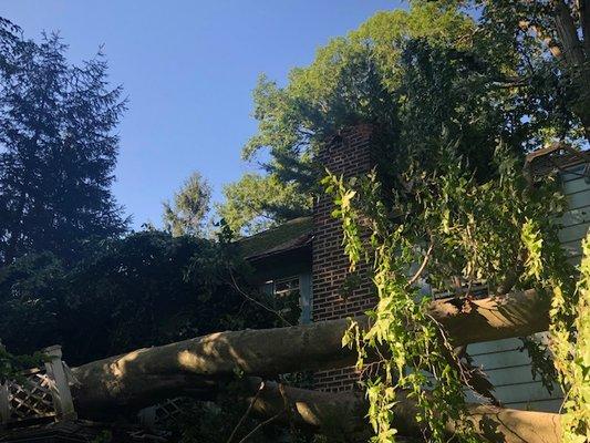 Storm damage in Nassau County handled by Long Island Public Adjusters