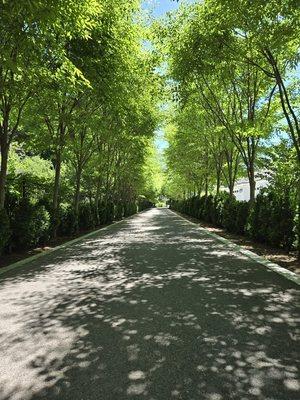 Build a stunning entrance to your beautifully landscaped home