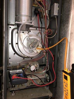 A Blueline Appliance Repair Service