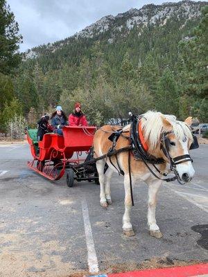 Our horse & carriage