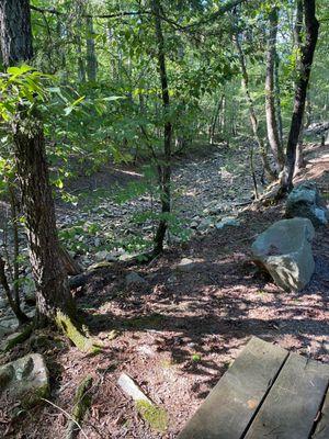 The dry creek bed beside the cabins